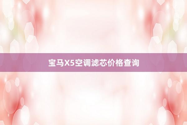 宝马X5空调滤芯价格查询